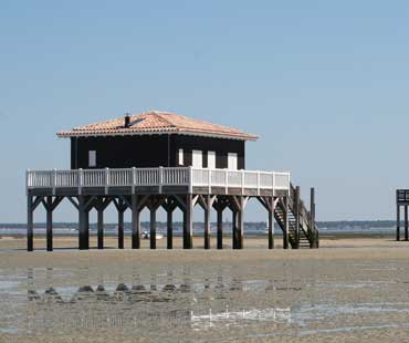 Arcachon Cabane Tchanquée