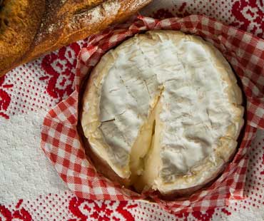 Camembert